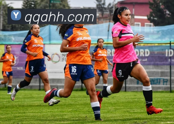 半岛网页版官网APP 高清赛事图